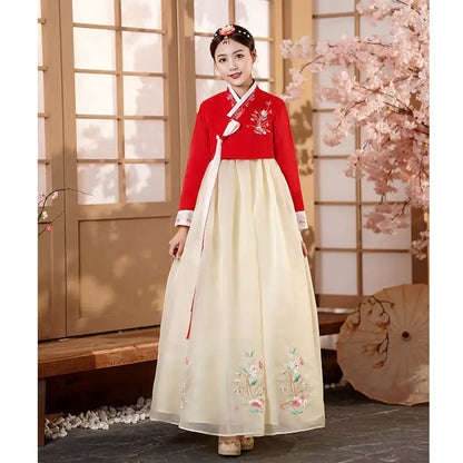 Ethnic Korean Costume Performance Dress – Traditional Hanbok-Inspired Outfit for Cultural Events